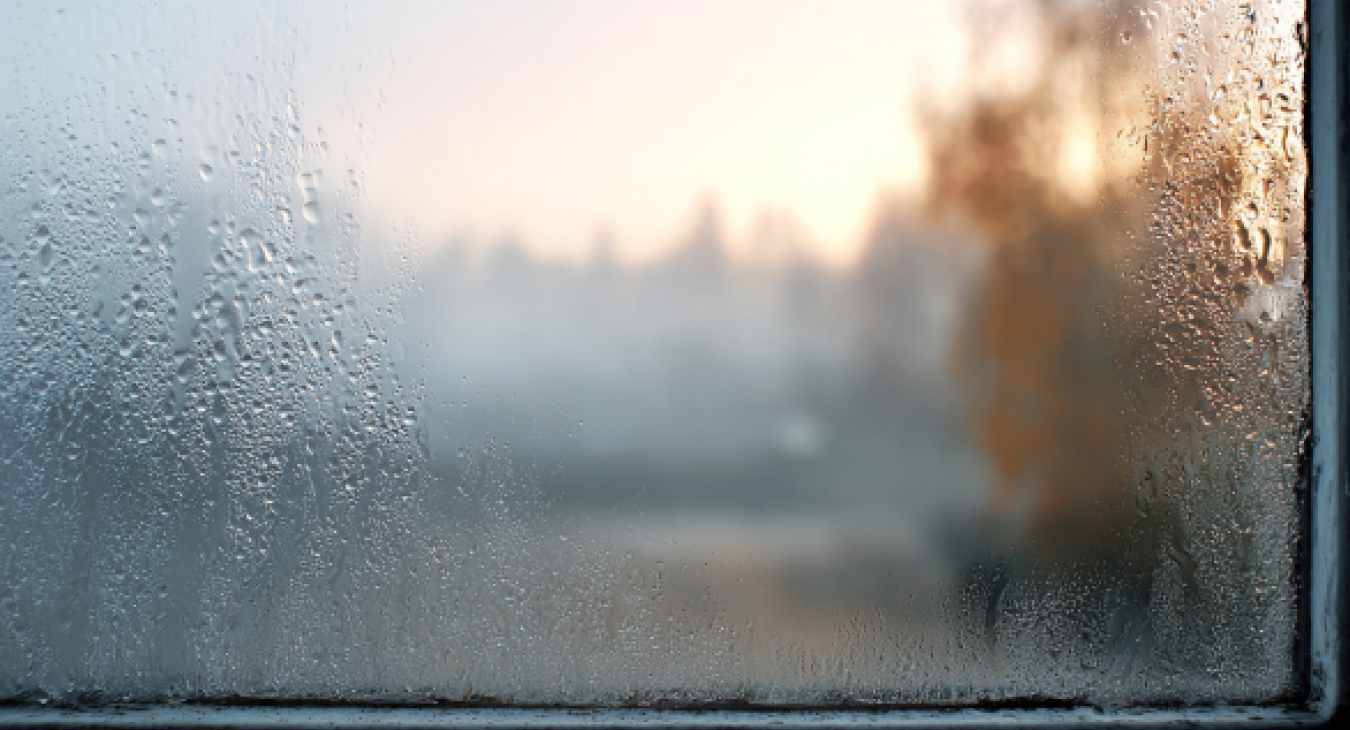 How We Solved 20 Years of Mould and Condensation in Just 48 Hours