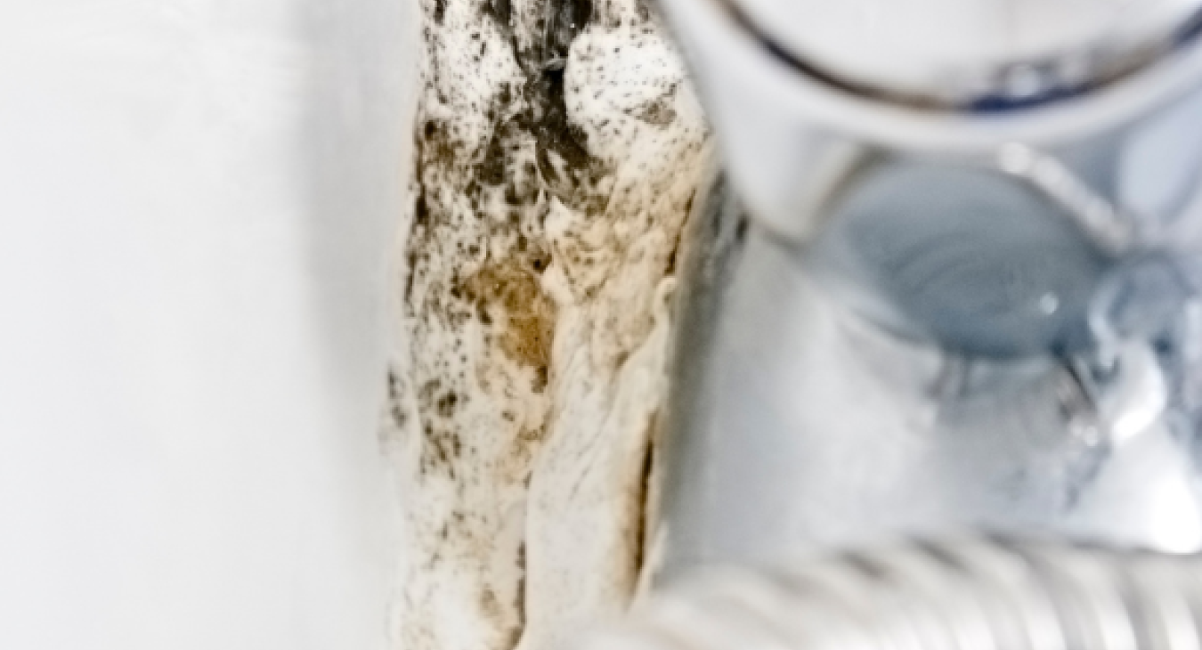 Is anti-mould paint enough to stop mould on your ceiling