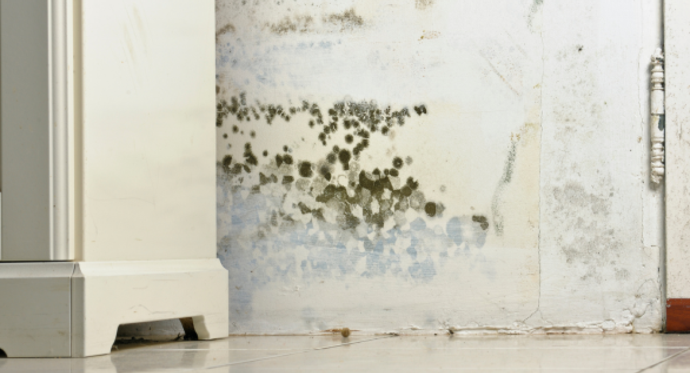 Why do my windows have vents that let cold air in