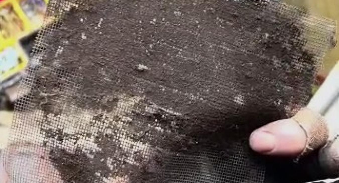 The Hidden Issue We Often Find Within Vents